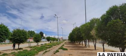 Trabajos realizados durante campañas de arborización /LA PATRIA