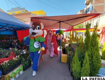 El capitán EMAO con otros cerditos en la socialización /EMAO