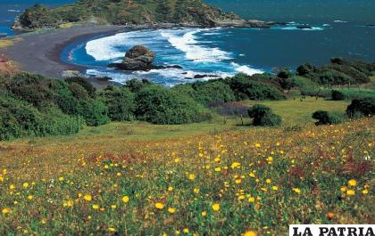 Santuario de la Naturaleza. /Centro de recursos Educarchile
