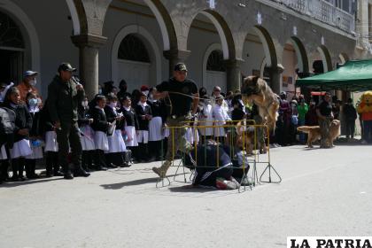 Los niños interactuaron con los canes /LA PATRIA
