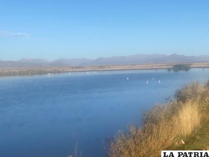 La zona de pastoreo del lago Uru Uru /LA PATRIA