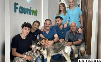El equipo médico con Damián y Rex, el perro husky operado /Clínica Faunivet
