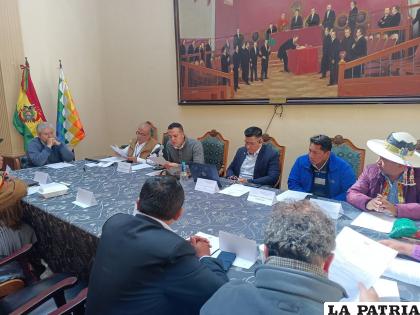 La Comisión de Organización Territorial sesionó ayer pese a la ausencia del gobernador Vedia /LA PATRIA