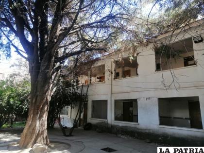 Árboles serán comprometidos en el proyecto /LA PATRIA