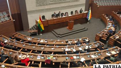 Cámara de Diputados /LA PATRIA