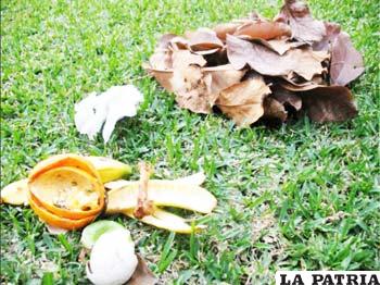 En Oruro, la basura orgánica no es aprovechada