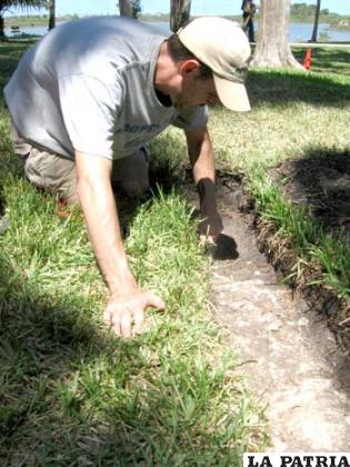 Gifford Waters, del Museo de Historia Natural de Florida, limpia de tierra los restos de los cimientos de una iglesia de mas de 300 años de antigüedad
