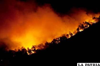 Autoridades de Arizona continúan su lucha contra las llamas de un enorme incendio