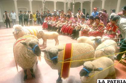 Toma Toma pretende generar un gran movimiento económico en la IV Feria Agropecuaria