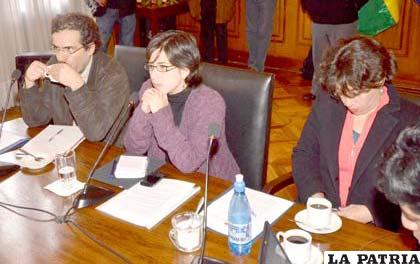 La ministra de Defensa Cecilia Chacón con la presencia del ministerio de medio ambiente presentó el plan contra incendios forestales a la cooperación Internacional