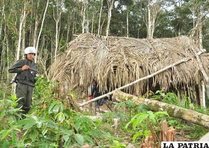 La lucha contra el narcotráfico en Bolivia es una problemática permanente (APG)