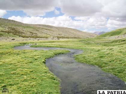 Las aguas del desviado río Lauca sirven para regar el desolado territorio chileno
