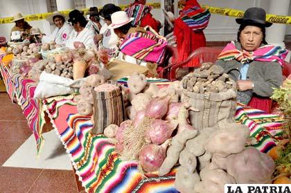 Comunarias de Huayña Pasto Grande mostraron parte de su producción