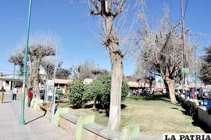 El invierno ya se siente en las plazas de nuestra ciudad donde los árboles ya perdieron sus hojas