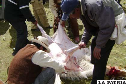 Posesionarán autoridades originarias de Jach’a Carangas 