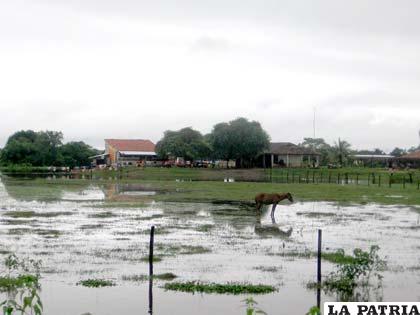 Desastres naturales provocados por el fenómeno de “La Niña” en Pando /radiopatuju.blogspot.com
