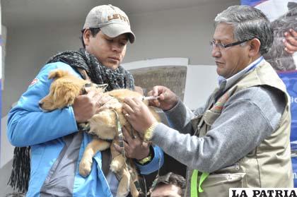 Ernesto Vásquez vacuna a una mascota, dando inicio simbólico a la campaña de vacunación canina