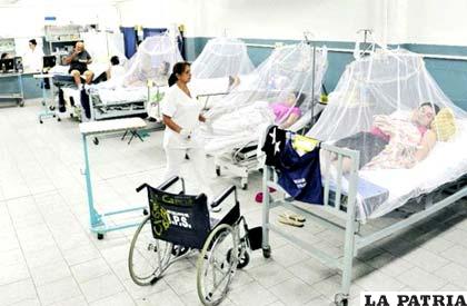 Casos de Dengue disminuyen en Paraguay por el frío