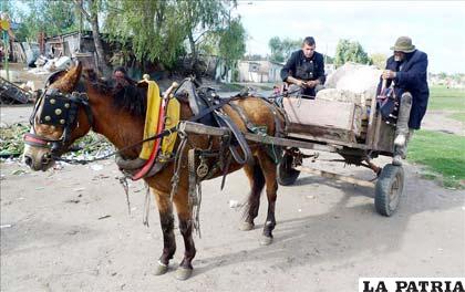 Dos hombres recolectan basura en una carreta jalada por un caballo