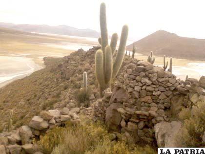 Nuevas ruinas encontradas en Salinas de Garci Mendoza