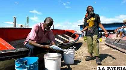 Pescadores lavan peces en la mayor reserva natural de Jamaica