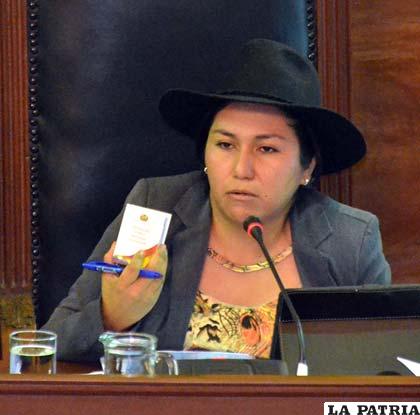 Ministra de Comunicación, Marianela Paco en su informe ante el Senado /ABI