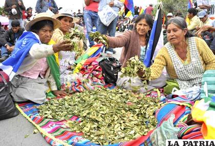 Mujeres muestran la hoja de la coca que comercializan /noticias.emisorasunidas.com