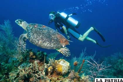 Áreas marinas protegidas podrían generar hasta 920 mil millones de dólares en ganancias hasta 2050