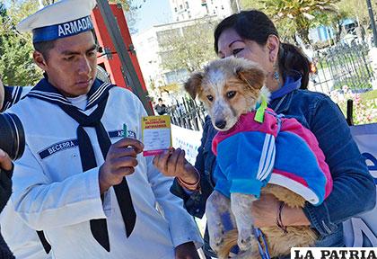 Miles de canes y felinos recibieron su dosis de vacunación /abi.bo
