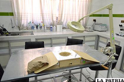 Oruro cuenta con laboratorio con tecnología de punta para estudio en camélidos /Gad-Oru