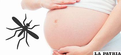 Peticiones de píldoras abortivas por sospechas del zika van en aumento