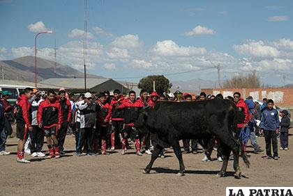 Al margen de los trofeos y medallas, al campeón le entregaron un toro