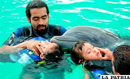 Los delfines fueron trasladados desde el Parque Acuático Splash en León