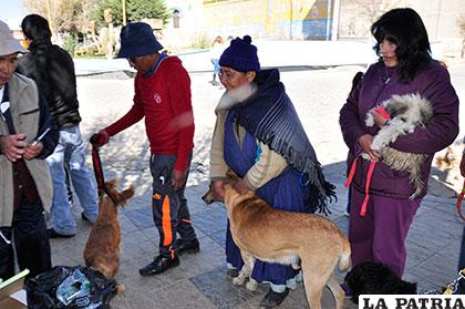 Actualmente se registraron 60 casos de rabia canina en el departamento de Oruro /Archivo