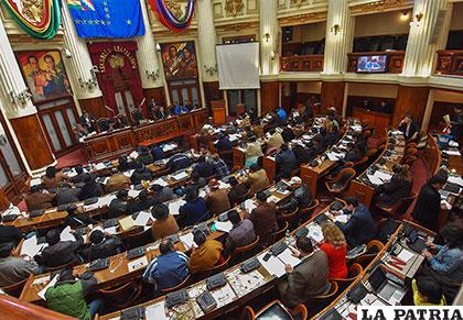 En sesión de la Asamblea Legislativa Plurinacional se modificó convocatoria a elecciones judiciales /APG