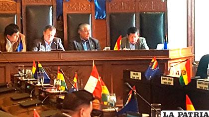 Ministro de Hidrocarburos rindió informe en el Senado /ANF