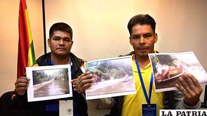 Comunarios denuncian sobre la tala de árboles ilegal /ANF