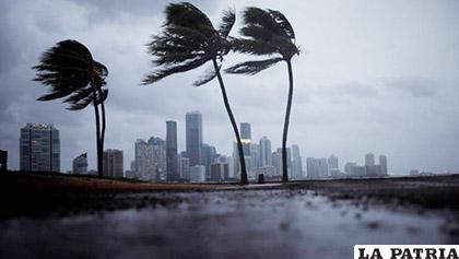 Una fotografía de Miami, bajo los primeros vientos del huracán