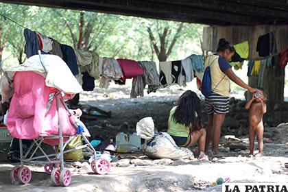 De los 40.000 waraos que se estima viven en Venezuela, unos 2.000 emigraron hacia Brasil