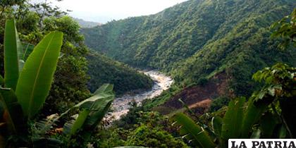 Honduras es el primer país en Latinoamérica en rubricar el compromiso forestal /Primicia Honduras