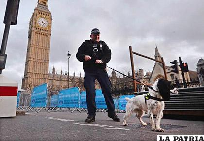 Hay miles de canes trabajando al servicio de la Policía /EFE/Archivo
