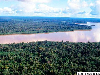 Se crearon dos nuevas áreas naturales de conservación regional en bosques de la Amazonía, que en su conjunto abarcan cerca de 63.000 hectáreas /Getty Images