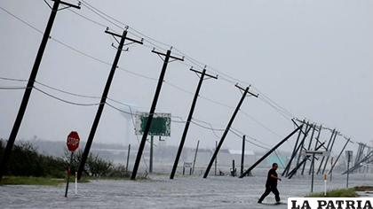 Según estudios, son 2.975 personas que perdieron la vida a consecuencia del huracán María /Nuevos Papeles