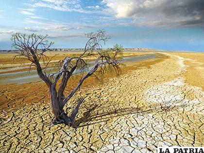 La crisis climática es una amenaza real, que ya está avisando con el aumento de sequías /Listin Diario