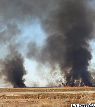 Quema de totora provoca grave contaminación ambiental /LA PATRIA