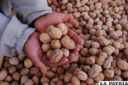 El fruto seco se cultiva en Tarija /Noticias.Bolivia