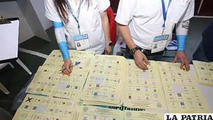Los resultados del cotejo de las actas se podrían tener hasta dentro de 15 días /EFE