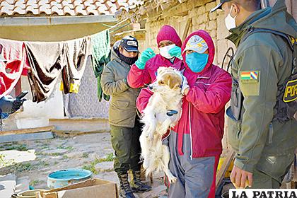 Los animales fueron trasladados por funcionarios de Zoonosis /LA PATRIA