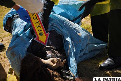 La víctima fue encontrada semienterrada en la zona Sureste /LA PATRIA