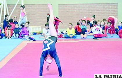Gimnastas deberán someterse a protocolos de bioseguridad
/cortesía Ministerio de Deportes